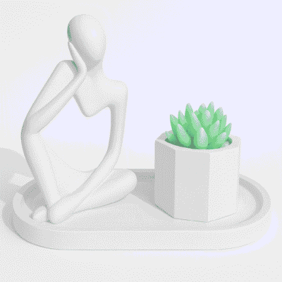MAN-SUC-WHT MAN+SUCCULENT +PLATE