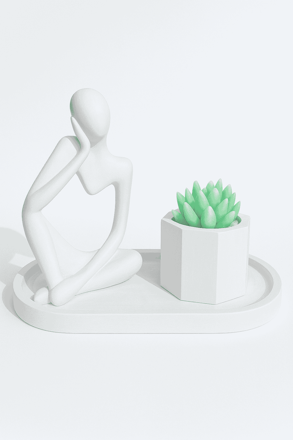 MAN-SUC-WHT MAN+SUCCULENT +PLATE