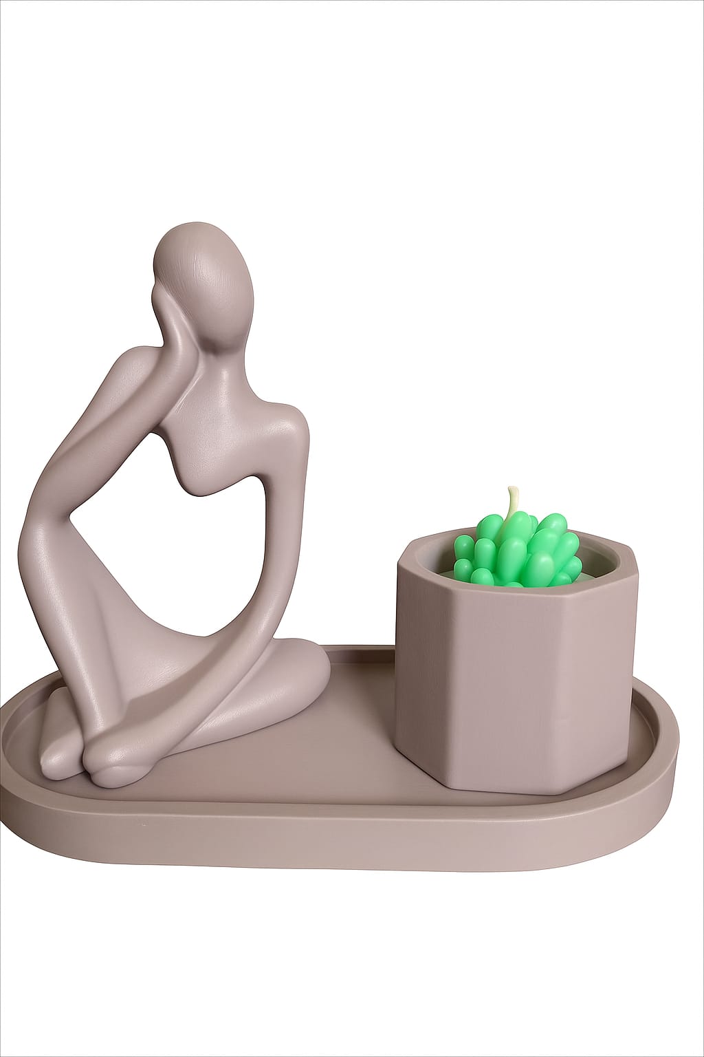 MAN-SUC-BRN MAN+SUCCULENT +PLATE