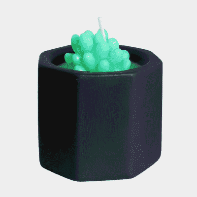 SUC-CDL-BLK SUCCULENT CANDLE POT