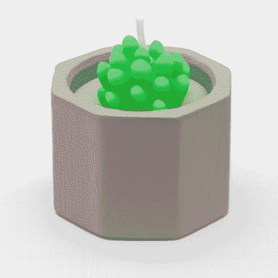 SUC-CDL-BRN SUCCULENT CANDLE POT