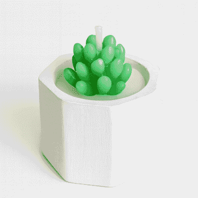 SUC-CDL-WHT SUCCULENT CANDLE POT